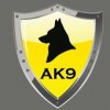 AK9 Security Services