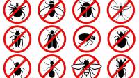 Insect Control, Monitoring & Prevention