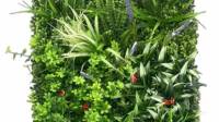 Living Wall Hedges